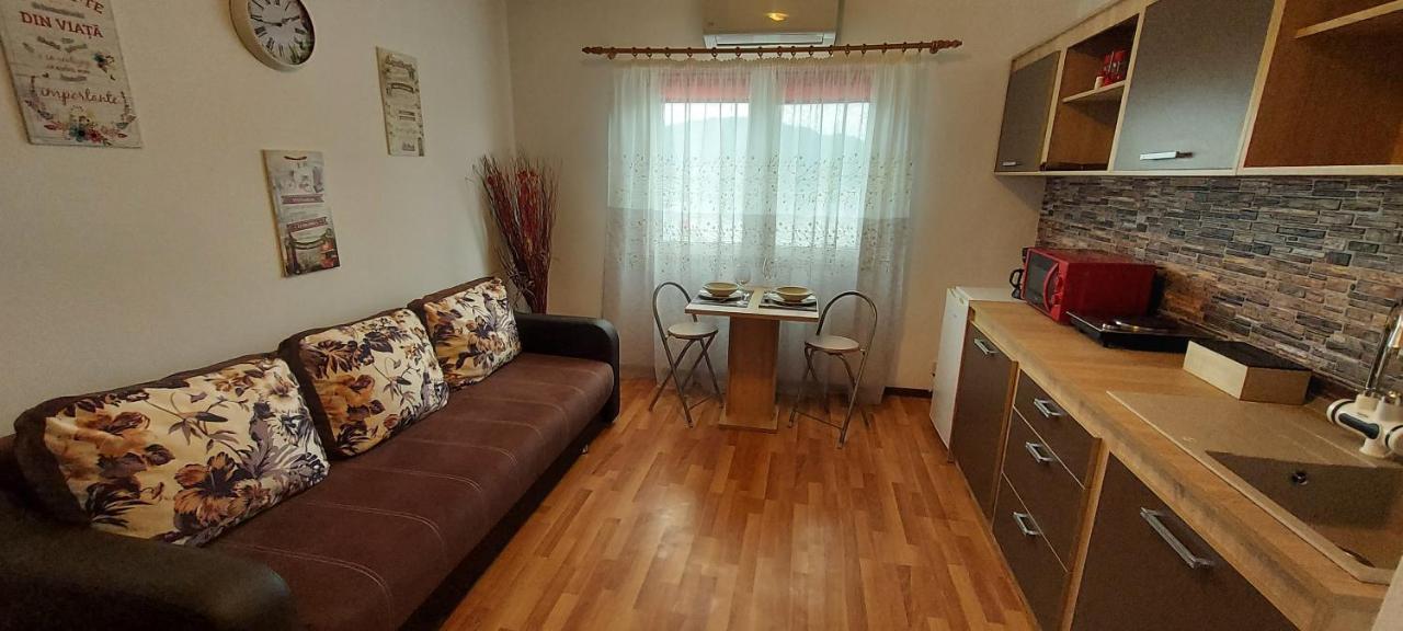 The View Apartment Orsova Exterior photo